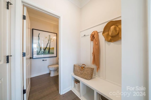 mudroom with dark hardwood / wood-style floors and ornamental molding