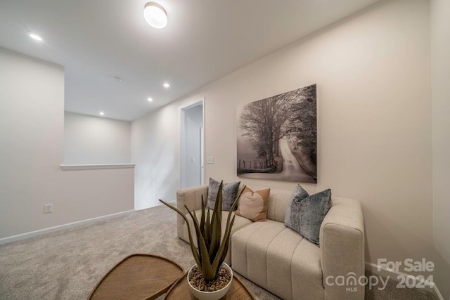 living area featuring carpet floors