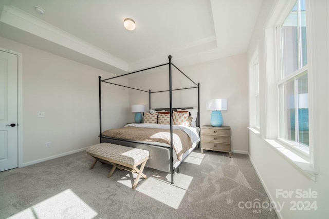 carpeted bedroom with a raised ceiling