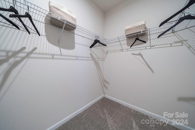 spacious closet with carpet floors