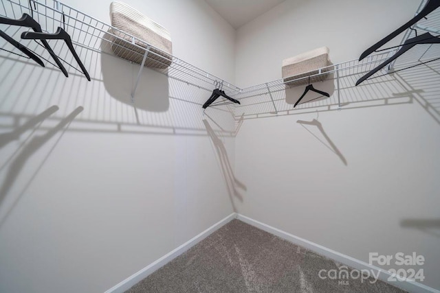 5919 Wetlands Aly, Charlotte, NC 28215 - photo 25