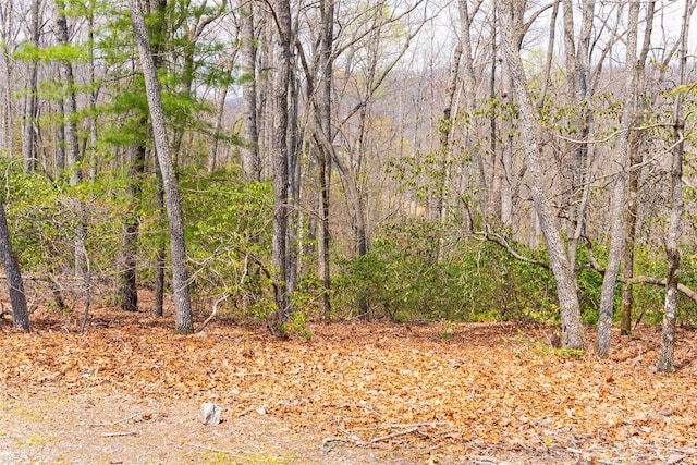 view of landscape