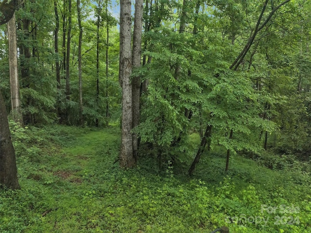 302 Didio Cir, Mooresville NC, 28115 land for sale