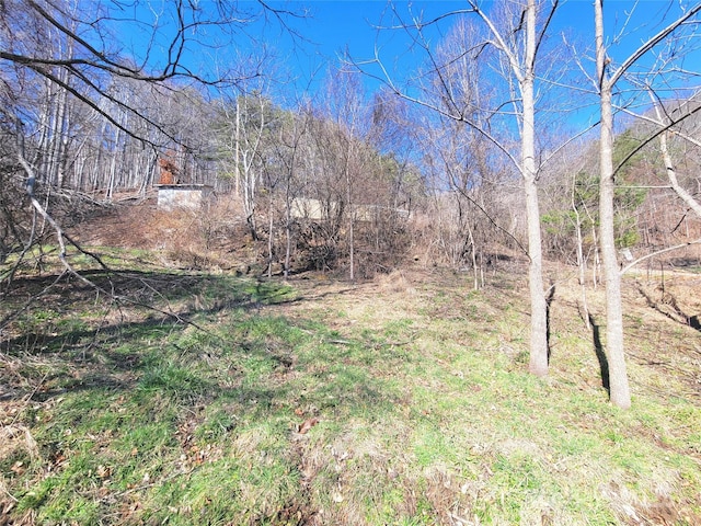 view of yard featuring a view of trees