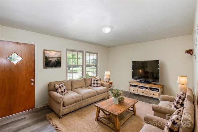 living room with hardwood / wood-style floors