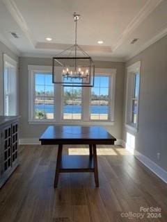 unfurnished dining area with plenty of natural light, a tray ceiling, and dark hardwood / wood-style floors