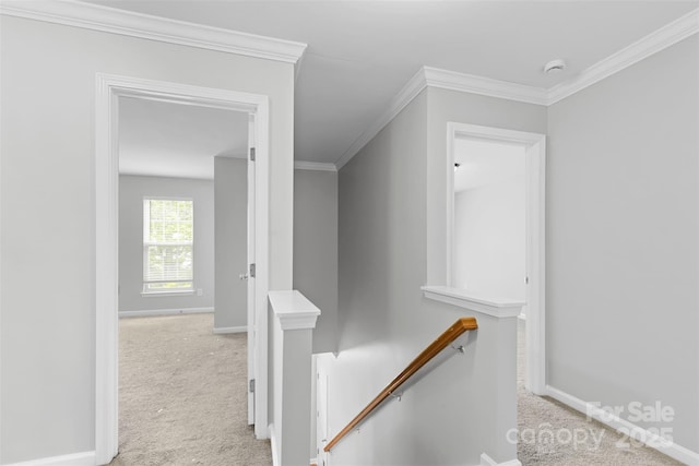 stairs with carpet and ornamental molding