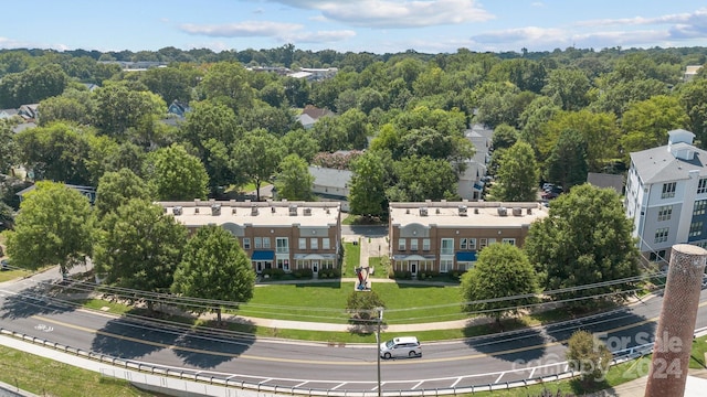 bird's eye view