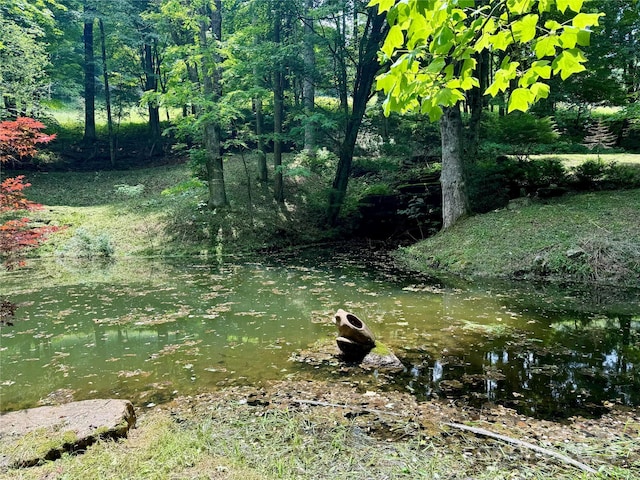 view of yard with a water view