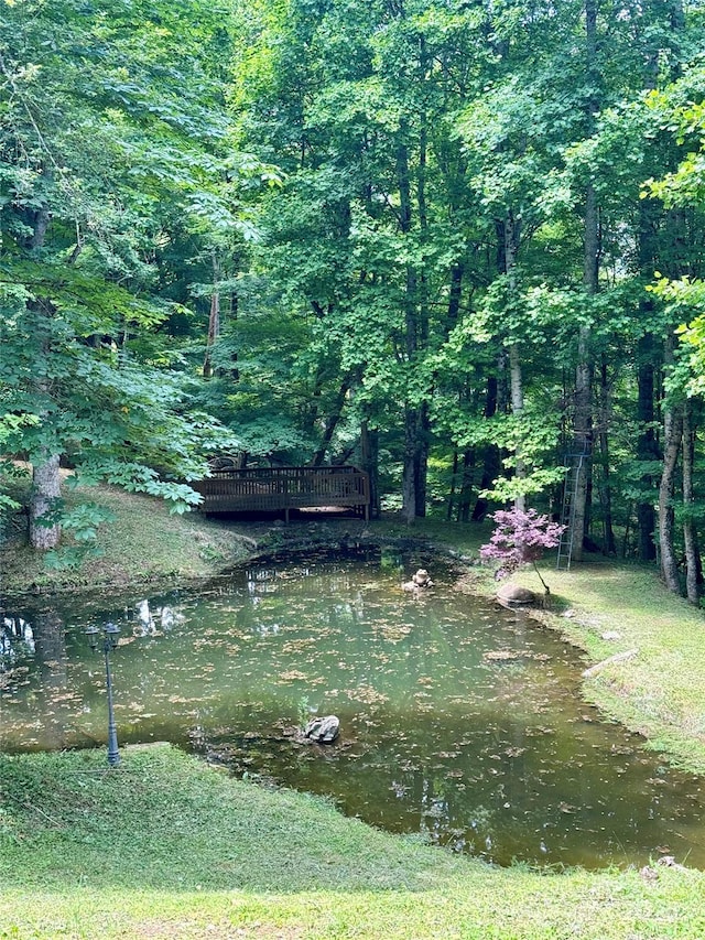 view of yard featuring a water view