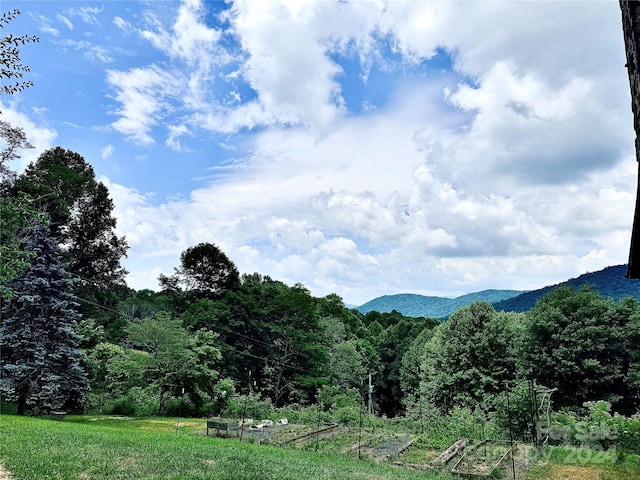 property view of mountains