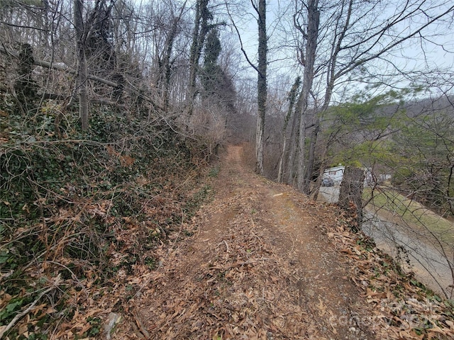 view of street with a forest view