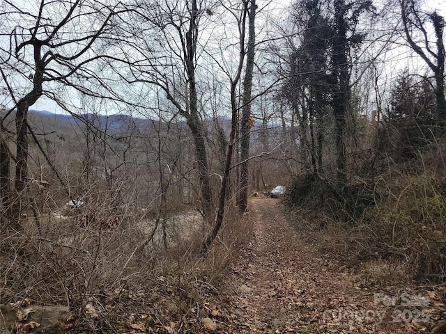 view of local wilderness featuring a wooded view