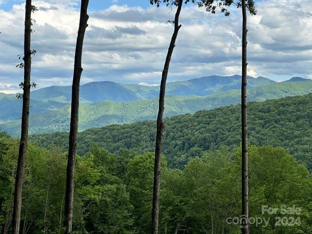 LOT284 Running Deer Trl, Waynesville NC, 28786 land for sale