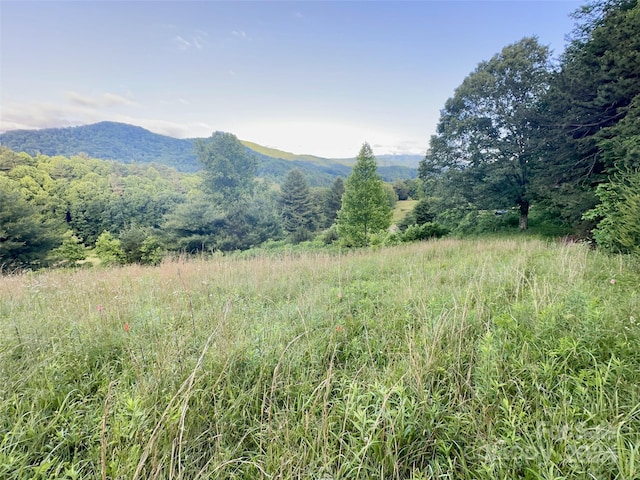 LOT21 Dream Valley Dr, Clyde NC, 28721 land for sale