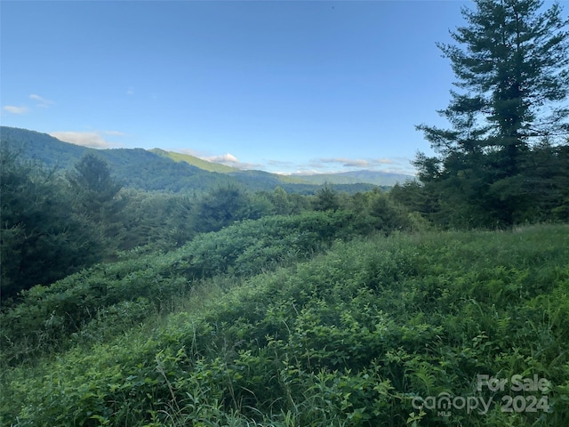 LOT22 Dream Valley Dr, Clyde NC, 28721 land for sale