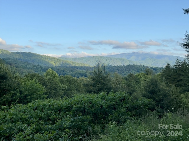 Listing photo 2 for LOT22 Dream Valley Dr, Clyde NC 28721