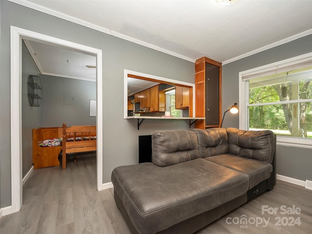 living room with hardwood / wood-style floors and crown molding