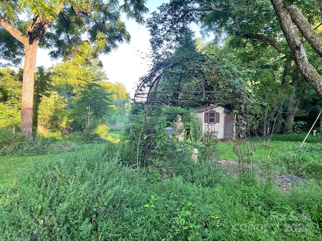 view of yard featuring a storage shed