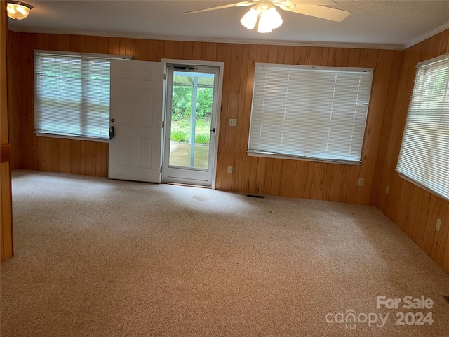 interior space featuring crown molding, wooden walls, carpet, and a wealth of natural light