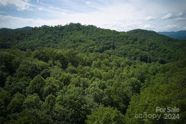 Listing photo 3 for 0 Black Forest Dr, Bryson City NC 28713