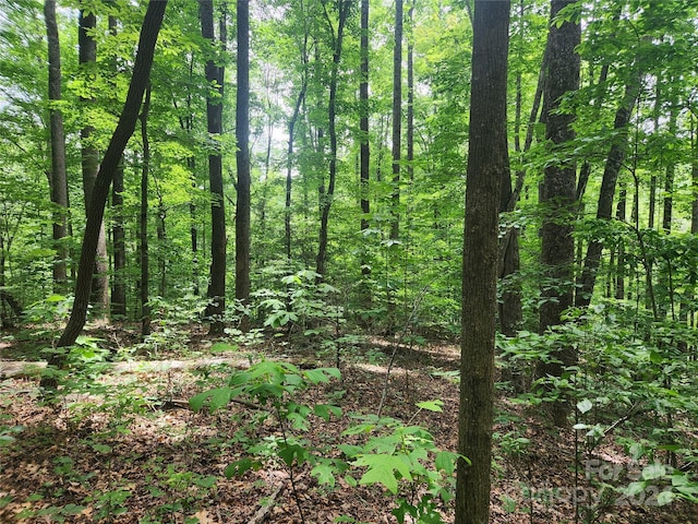 00 Trail Ridge Dr Unit 115, Marion, NC 28752