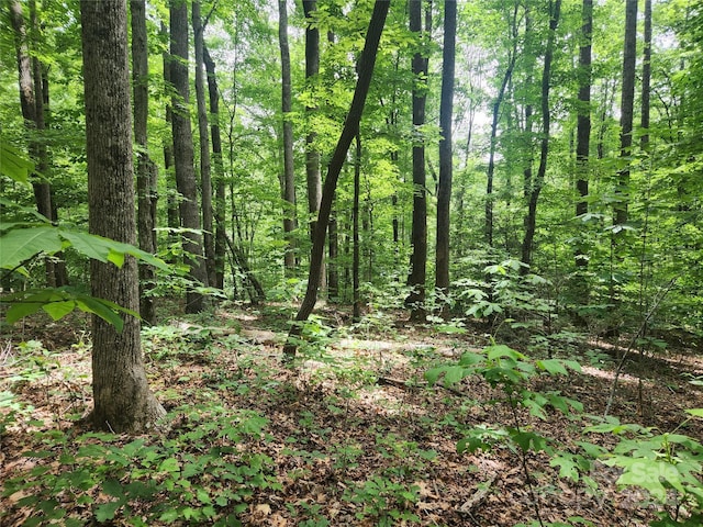 00 Trail Ridge Dr Unit 115, Marion, NC 28752