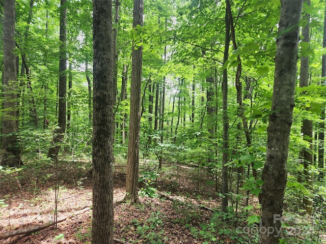 00 Trail Ridge Dr Unit 115, Marion, NC 28752