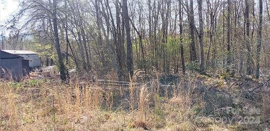 Listing photo 3 for TBD Biggerstaff Loop Lot # 14, Nebo NC 28761