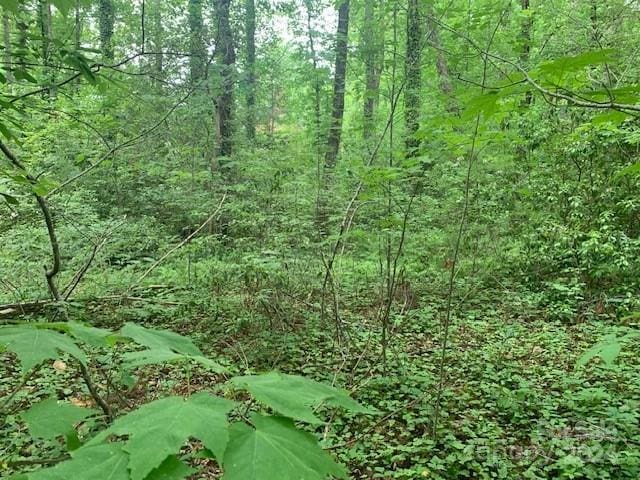 Listing photo 3 for 133LOT Brandon Rd Unit 133, Hendersonville NC 28739