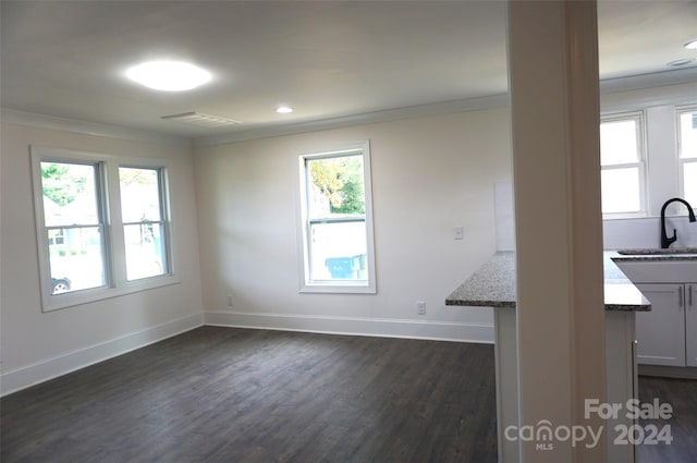 spare room featuring sink, dark hardwood / wood-style floors, and ornamental molding