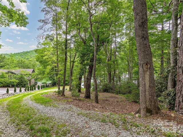 LOT102 E Shore Dr Unit 102, Lake Toxaway, NC 28747