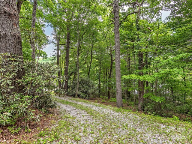 LOT102 E Shore Dr Unit 102, Lake Toxaway, NC 28747