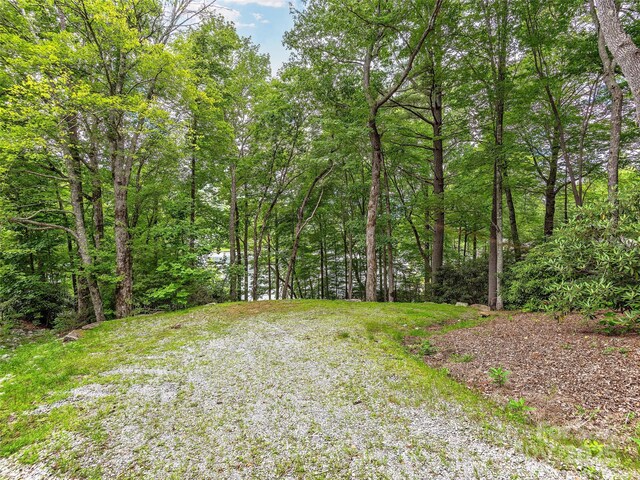 LOT102 E Shore Dr Unit 102, Lake Toxaway, NC 28747