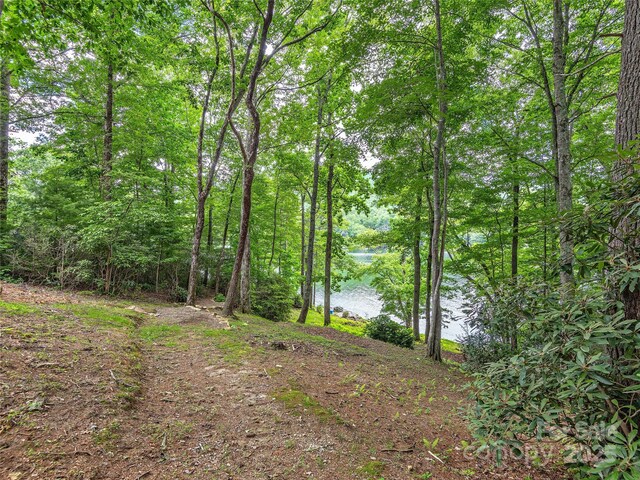 LOT102 E Shore Dr Unit 102, Lake Toxaway, NC 28747