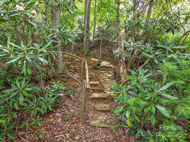 LOT102 E Shore Dr Unit 102, Lake Toxaway, NC 28747