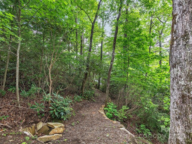 LOT102 E Shore Dr Unit 102, Lake Toxaway, NC 28747