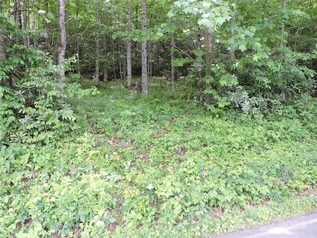 Listing photo 3 for 00 S Toe River Rd Lot 2, Burnsville NC 28714