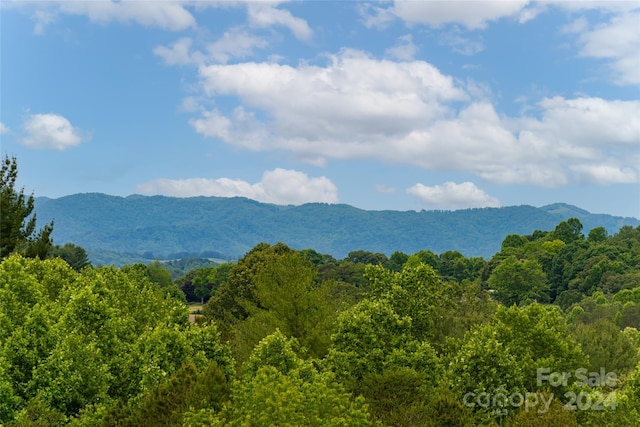 property view of mountains