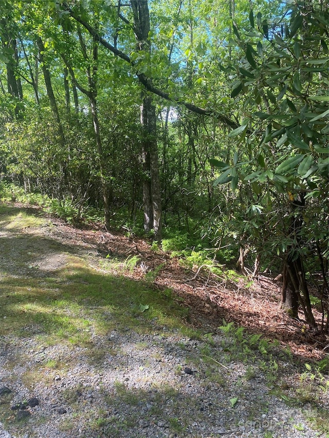 U14L68 Dotsi Dr Unit 14/68, Brevard NC, 28712 land for sale