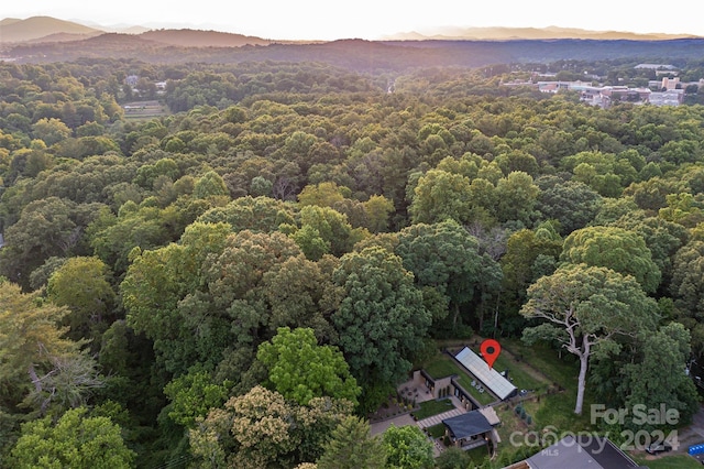 bird's eye view featuring a mountain view