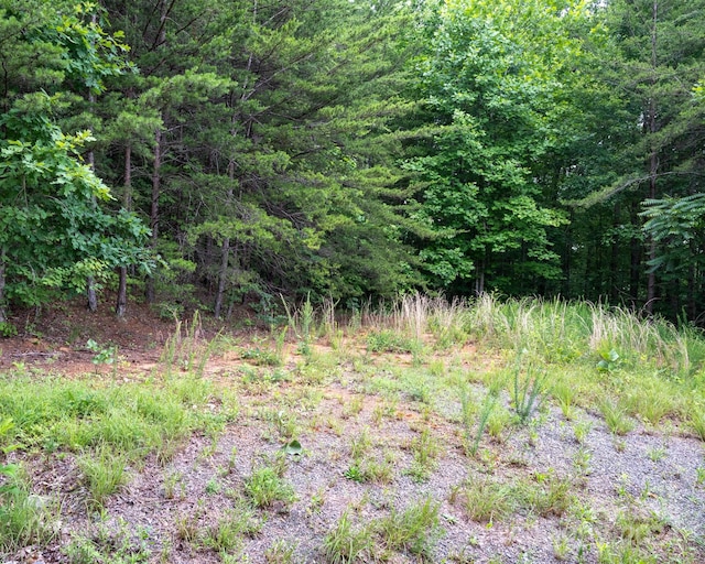 TBD Chicory Dr, Marion NC, 28752 land for sale