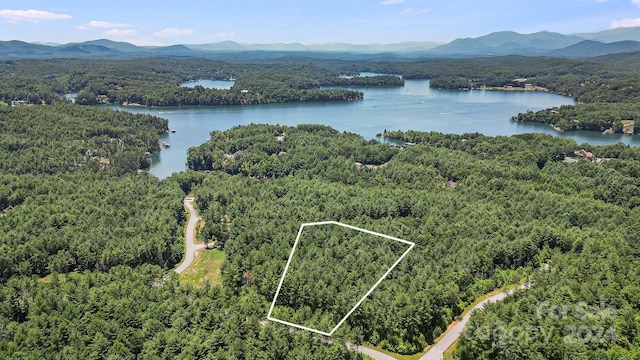 588 Peninsula Reserve Rd Unit 35, Nebo NC, 28761 land for sale