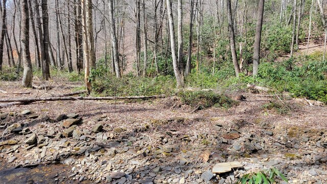 112 Rainbow Trout Rd, Burnsville, NC 28714