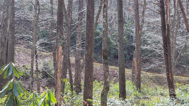 112 Rainbow Trout Rd, Burnsville, NC 28714