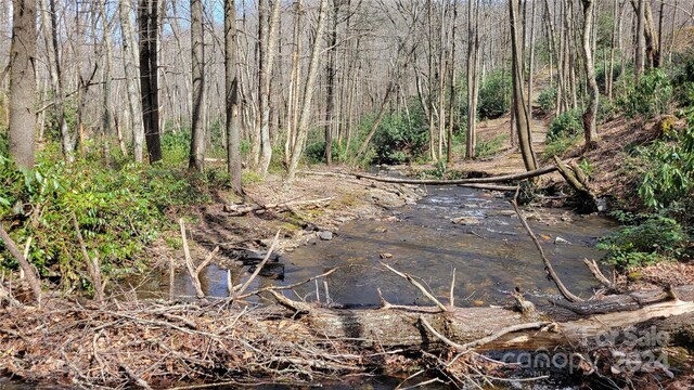 112 Rainbow Trout Rd, Burnsville, NC 28714