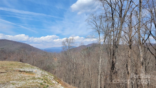 112 Rainbow Trout Rd, Burnsville, NC 28714