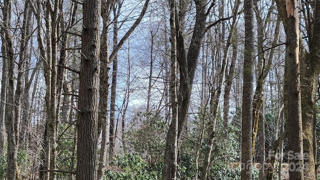 112 Rainbow Trout Rd, Burnsville, NC 28714