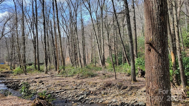 112 Rainbow Trout Rd, Burnsville, NC 28714
