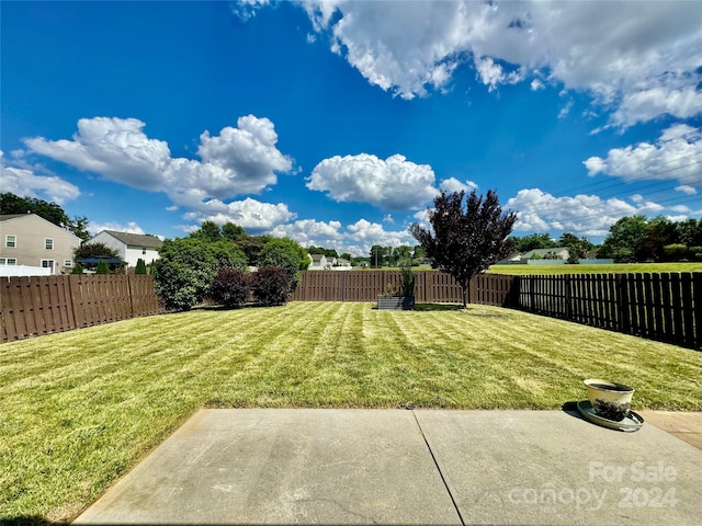 view of yard featuring a patio